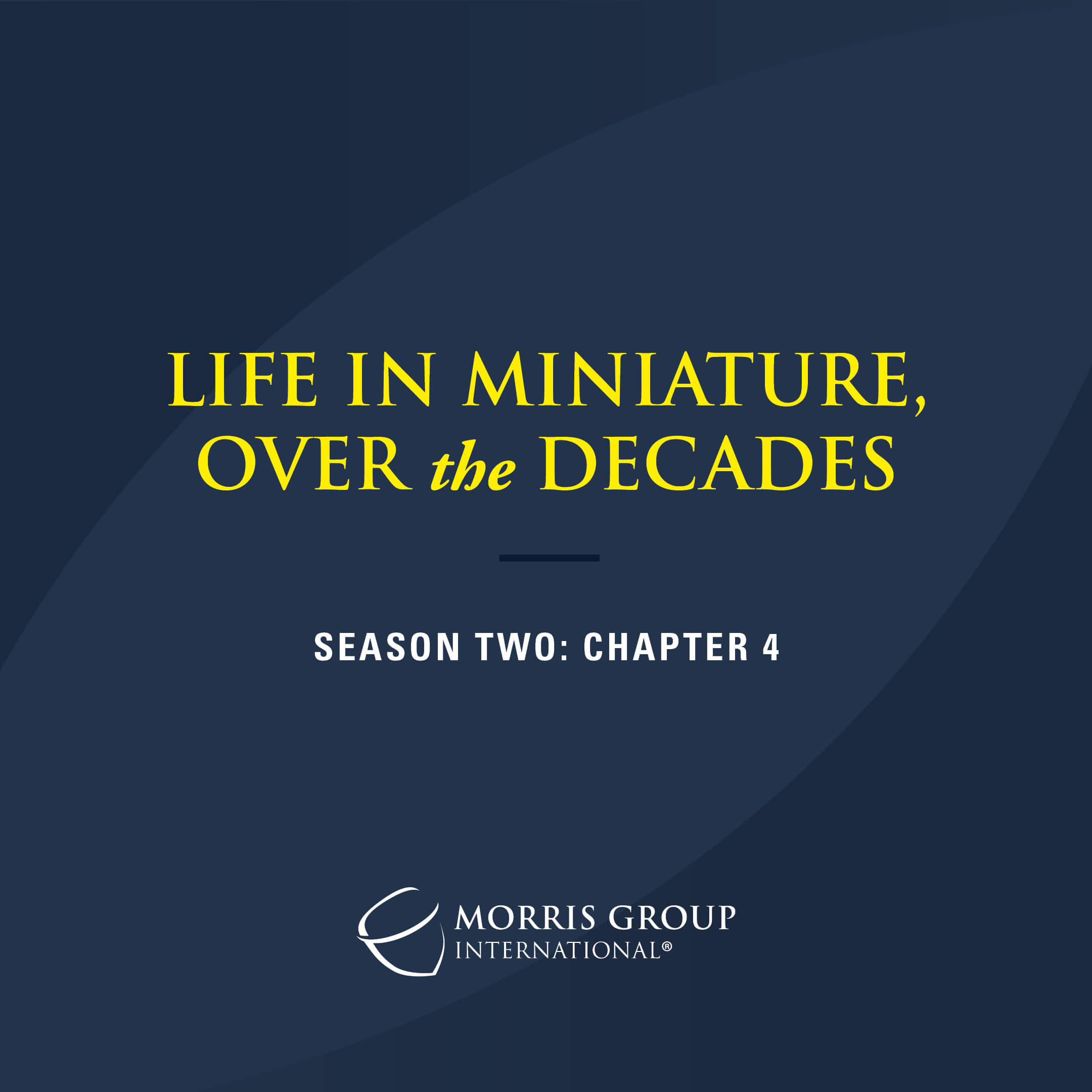 Life in Miniature