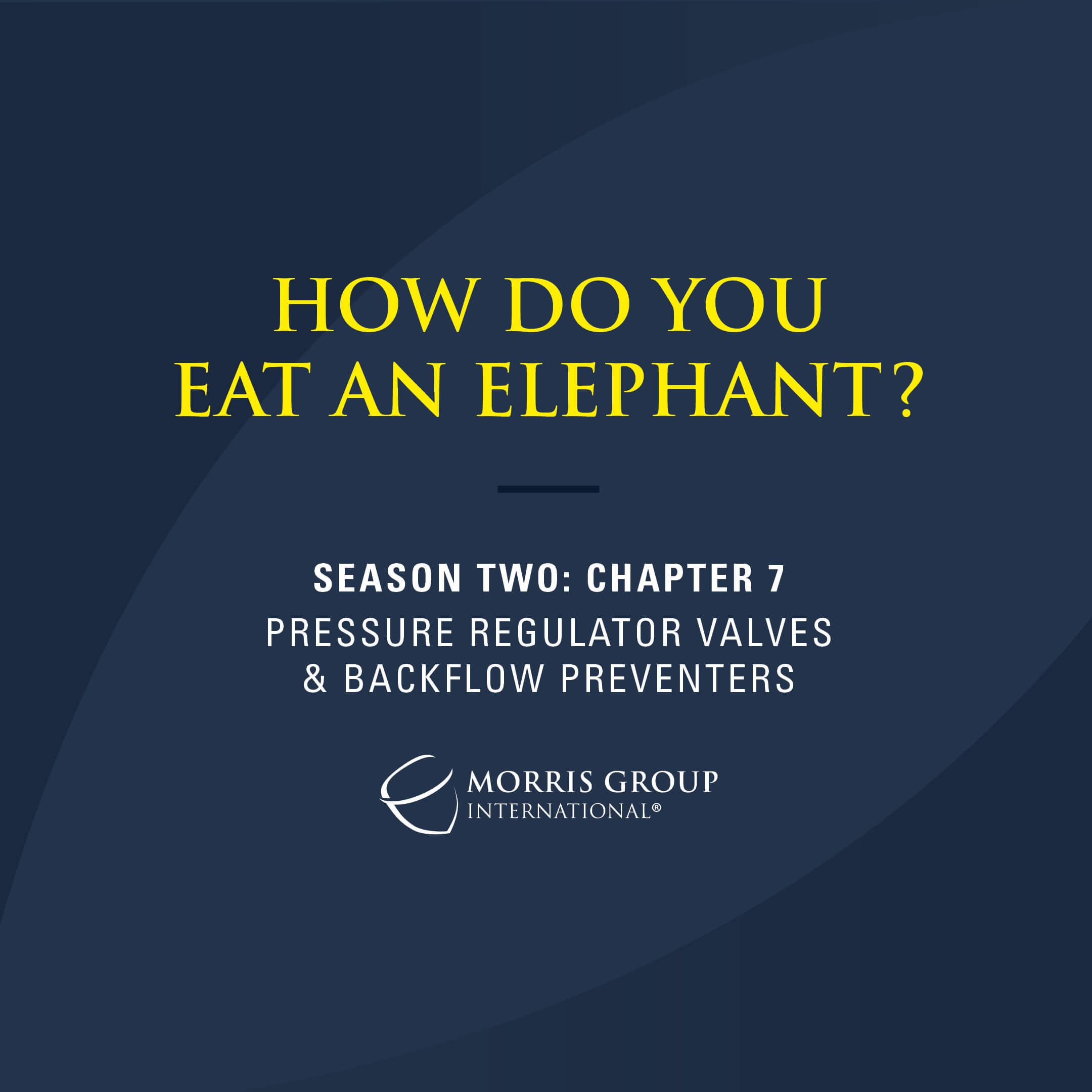 How Do You East An Elephant?