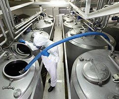 Chemical Plants