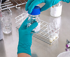 Labs